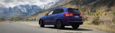 BMW X5M (F95) 0.33.x