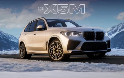 BMW X5M (F95) 0.33.x