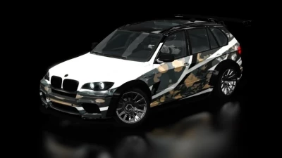 BMW X5M The Shakalz v3.0