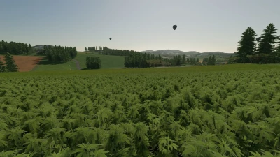 Hemp Beyleron v1.0.0.0