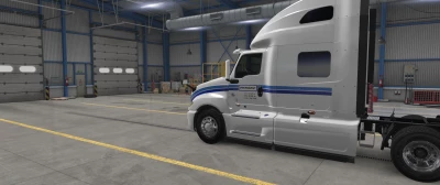 Lt Skin Penske white 1.51