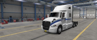 Lt Skin Penske white 1.51