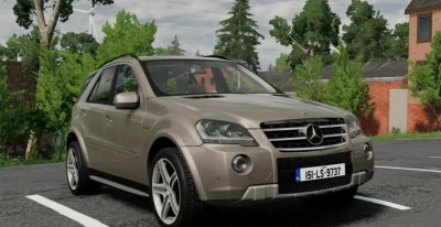 Mercedes-Benz Ml-Class 2008-2011 0.33