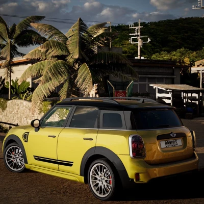 Mini Countryman F60 0.33.x