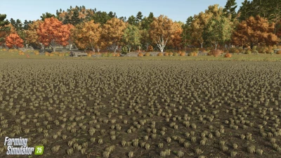 New Crop: Rice & Long Grain Rice v1.0.0.0