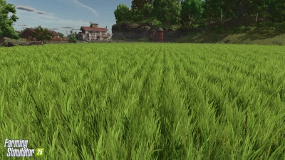 New Crop: Rice & Long Grain Rice v1.0.0.0