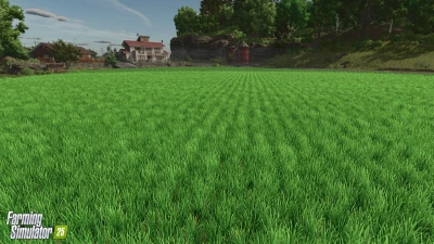 New Crop: Rice & Long Grain Rice v1.0.0.0