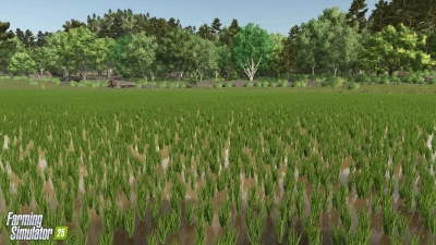 New Crop: Rice & Long Grain Rice v1.0.0.0