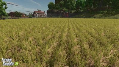 New Crop: Rice & Long Grain Rice v1.0.0.0