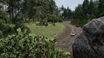 Sega Rally srForest v3.0