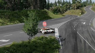 Sega Rally srForest v3.0