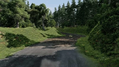 Sega Rally srForest v3.0