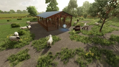 Sheep Shed v1.0.0.0