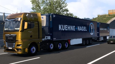 SKIN KUEHNE + NAGEL SCHMITZ CARGOBULL S.KO COOL 20 10 2024 2.0 1.52