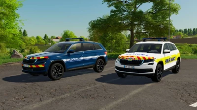 Skoda Kodiaq 2019 (Secours) v2.0.0.0