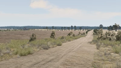 Texas Map 0.33.x