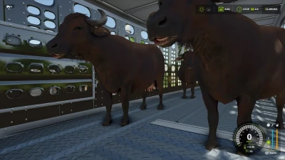 Animal Transport v1.0.0.0