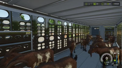 Animal Transport v1.0.0.0