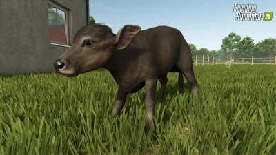 Baby Animals, Variety & Dynamic Pastures v1.0.0.0