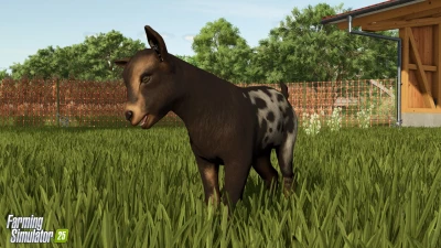 Baby Animals, Variety & Dynamic Pastures v1.0.0.0