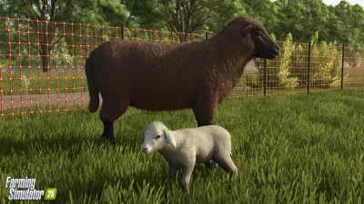 Baby Animals, Variety & Dynamic Pastures v1.0.0.0