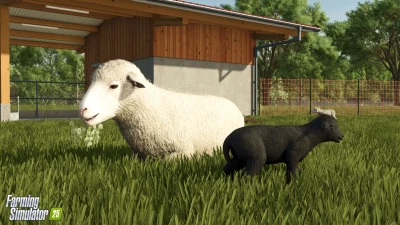 Baby Animals, Variety & Dynamic Pastures v1.0.0.0