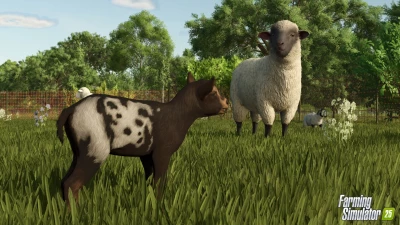 Baby Animals, Variety & Dynamic Pastures v1.0.0.0