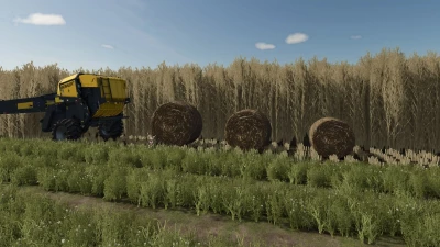 Bigger Biobales v1.0.0.0