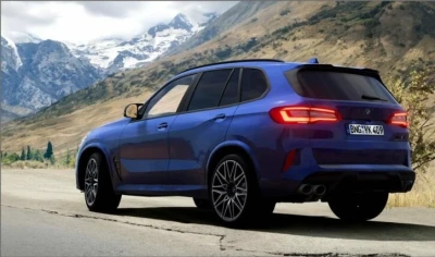 BMW X5M (F95) 0.33