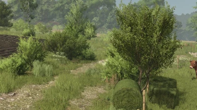 Bush TEXTURE (DECOBUSH) v1.0.0.0