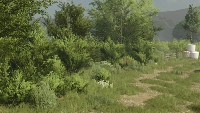 Bush TEXTURE (DECOBUSH) v1.0.0.0