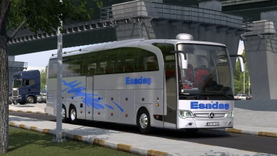 Esadas Coating Skin for TRAVEGO 17SE v1.0