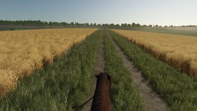 First Person Horse Riding Camera v1.0.0.0