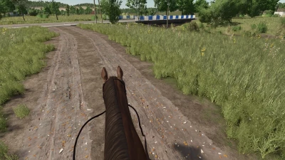 First Person Horse Riding Camera v1.0.0.0