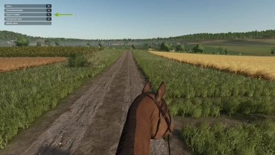 First Person Horse Riding Camera v1.0.0.0