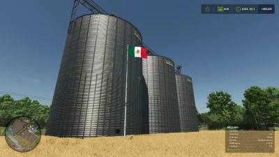 FS25 MexicoFlag v1.0.0.0