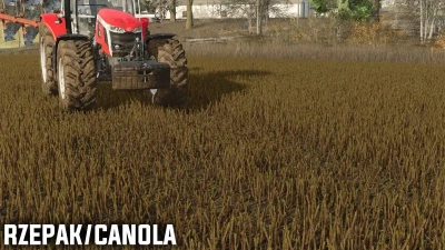 FS25 Pressed stubble v1.0.0.0