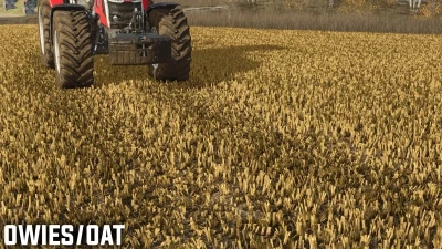 FS25 Pressed stubble v1.0.0.0