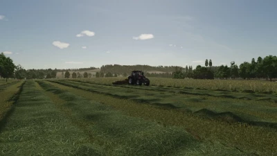 Grass Texture v1.0.2.0