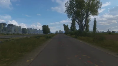 Leaves on the road ETS2 1.52.*