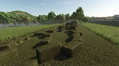 Massey Ferguson 2370 Cheat v1.0.0.0