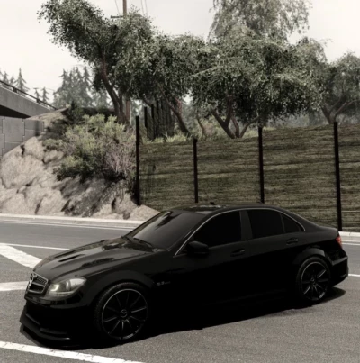 Mercedes-Benz AMG (W204) v1.0