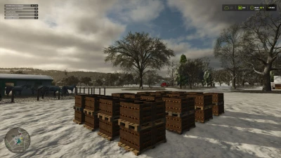 More Honey Pallet Place Options v1.0.0.0