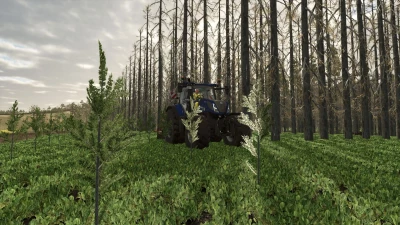 No Tree Limit v1.0.0.0