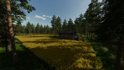 Pohjaforest Map v1.0.0.0