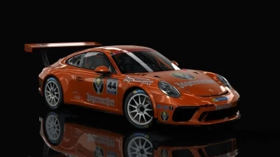 Porsche 911 GT3 Cup 2017 Rally v1.0