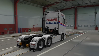 TRANS CARGO Skin Pack V0.1