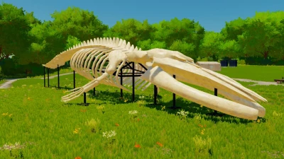 Whale Skeleton Sculpture v1.0.0.0