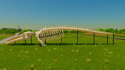 Whale Skeleton Sculpture v1.0.0.0