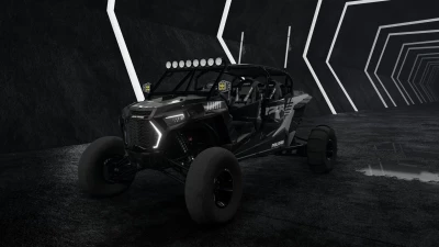 2021 Polaris RZR Turbo S  0.33